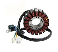 Generatore Statore Per Kymco Per Dink Per Street Per K-XCT Per X-Town 125i Per People Per GTi 125 I Generatore Magnete Statore Per Moto A 18 Poli Statores