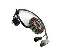 Generatore Statore Per TRK251 Per TRK 251 Per TRK-251 Moto Magneto Motore Generatore Bobina Statore Accessori Statores