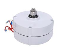 Generatore Torvex, AVAN-200W, alternatore elettrico trifase a magneti permanenti per sistemi di generazione di energia a bassa velocità. (Senza raddrizzatore 12V)