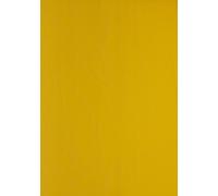 Genere in pelle cartone di cartone DIN A4 CLAIR TELEFONO 240 G / M² Testo e copertura giallo 2770 (100 pezzi) NEW