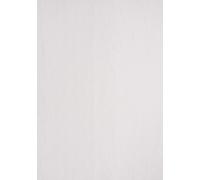 Genere in pelle cartone di cartone DIN A4 CLAIR TELEFONO 270 g / m² Testo e copertura bianca 2706 (100 pezzi) NEW