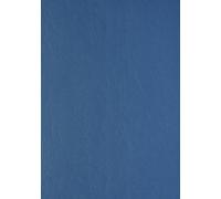 Genere in pelle cartone di cartone DIN A4 CLAIR TELEFONO 270 g / m² Testo e copertura blu scuro 2707 (100 pezzi) NEW