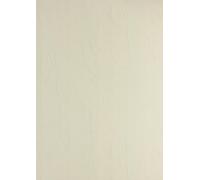 Genere in pelle cartone di cartone din a4 clairefontaine 240 g / m² testo e copertura beige 2771 (100 pezzi) NEW