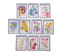 Generic 200 Pezzi di Fiori Secchi Pressati, Veri Esemplari Floreali per la Decorazione di Biglietti D'auguri per Nail Art Artigianali in Resina, con Confezione Ermetica per la (fiore secco 3)