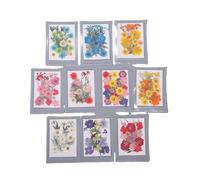 Generic 200 Pezzi di Fiori Secchi Pressati, Veri Esemplari Floreali per la Decorazione di Biglietti D'auguri per Nail Art Artigianali in Resina, con Confezione Ermetica per la (fiore secco 2)
