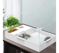 Generic Acquario per Tartarughe in Vetro, Tartaruga per rettili Habitat Piattaforma per crogiolarsi in Tartarughe con Pompa, Filtro e Strato filtrante per Tartarughe, granchi eremiti, Tartarughe (M)