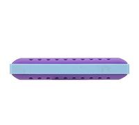 Generic Armonica a Bocca Resistente a 10 Fori per Bambini, Armonica a Bocca in Resina per Musica Jazz e Folk, Giocattolo Musicale Ideale per Principianti in Colori Vivaci (Bicolore-Viola)