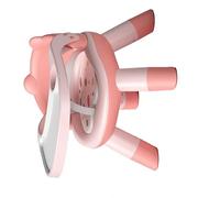 Generic Baby Piccolo Sedia, Protezione Ambientale per Bambini Stabile Sedia da Pranzo Stabile Supporto Portatile Multifunzionale Facile da Pulire per la Casa (PINK)