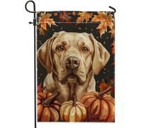 generic Bandiere da giardino con Labrador Retriever e raccolta autunnale, 30,5 x 45,7 cm, per esterni, con zucca autunnale, bandiere verticali standard per la casa, in legno d'acero, per cortile