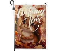 generic Bandiere verticali da giardino autunnali con scoiattolo cartone animato, 30,5 x 45,7 cm, double-face, per esterni, paesaggi autunnali, foreste, piccole bandiere per casa, giardino, giardino