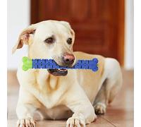Generic Bastoncino per Spazzolino in Silicone per Animali Domestici, Spazzolino Dal Design Multidirezionale e Diviso, con Noduli per Massaggio Gengivale e Fessura per Dentifricio, per la Pulizia dei