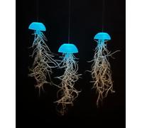 Generic Bellissimo set di 3 piante a medusa cristallina che si illuminano al buio.