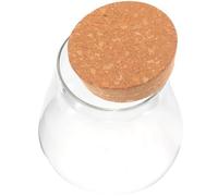 Generic Bottiglia Ecologica in Vetro Tappo in Sughero per Micro-paesaggi, Terrario da Tavolo Compatto e Leggero, Decorazione per Soggiorno, Ufficio e Camera da Letto, Contenitore