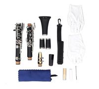 Generic Clarinetto in Sib per Esercitarsi con 17 Tasti e Un'eccellente qualità del Suono Progettato per i Musicisti Realizzato in Plastica Tecnica