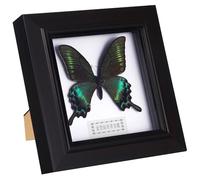 Generic Cornice Decorativa Farfalla Simulata in Acrilico Nero, Decorazione da Parete Pratica e Raffinata, per Soggiorno e Regalo a Famiglia e Amici