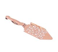 Generic Cucchiaio da Cocktail Premium in Legno di Assenzio Cucchiaio con Filtro per Assenzio Design Vintage Cavo in Acciaio Inossidabile per gli Appassionati della Preparazione Dell'assenzio (Oro