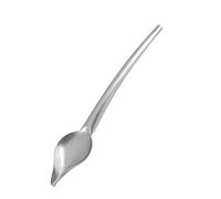 Generic Cucchiaio Decorativo per Piatto da Dessert Cucchiaio da Salsa in Acciaio Inossidabile di Alta qualità per Domestica e Caffetteria Colore Argento L e S (Taglia larga)