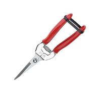 Generic Cutter di Bottoni, Meccanismo a Molla Progettata Maniglia di Rivestimento Ergonomico e di Plastica dell'interruttore di Bloccaggio, Giardino di Raccolta di Frutta (Testa dritta)