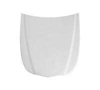 Generic Display Modello Cofano Auto Esposizione Pannello Metallo Accessorio Pellicola Vinile per Dimostrazione Adatto per Laboratorio, Bianco