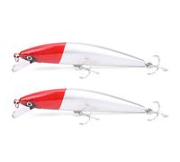 Generic Esca da Pesca Affondante Realistica Esca per Pesciolini 2 Pezzi per Pesca D'acqua Dolce Materiale ABS Resistente (5#)