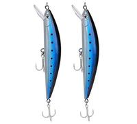 Generic Esca da Pesca Affondante Realistica Esca per Pesciolini 2 Pezzi per Pesca D'acqua Dolce Materiale ABS Resistente (1#)