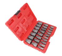 Generic Estrattore per Viti Rotte, Estrattore per Viti Imperiali Ad Alta Durezza, Acciaio Legato 40Cr, Buona compatibilità, Gambo Esagonale 25 Pezzi per la Lavorazione di Tubazioni (SILVER)