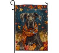 generic Fall Art Great Dane - Bandiere da giardino 30,5 x 45,7 cm, double face, decorazione per esterni, motivo: cane notturno autunnale, bandiera in tela per casa, cucciolo d'acero per esterni