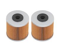 Generic Kit Filtro di Trasmissione Idraulico Squisito Durevole per Hydro Gear 71943 21548300, 2 Pezzi Accessorio per Attrezzi da Giardino per Lavoratori All'aperto