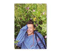 Generic Kit per pittura con diamanti 5D fai da te per adulti Harry Styles Diamond Painting 5D ritratto poster arte da parete cantante mosaico kit ricamo diamante - 40 x 50 cm