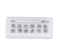 Generic Kit per Timbratura Pelle Modelli Innovativi 12 Timbri con Manico per Progetti Personalizzati in Pelle Metallo di Alta qualità (Lega di zinco, acciaio inossidabile)