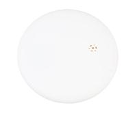 Generic Localizzatore Bluetooth Localizzatore di Oggetti per Tag Aerei Globale Impermeabile con Notifica di Smarrimento, Portachiavi per Chiavi Zaini Bagagli, Adatto per Utenti (WHITE)