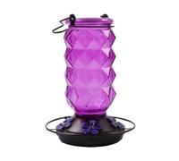 Generic Mangiatoia per colibrì da Appendere con Design Robusto per Balconi e Giardini, Realizzata in Vetro e Metallo (Viol Gancio)