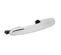 Generic Maniglie delle Porte Esterne Automobilistiche, Maniglie della Porta Esterna Manico della Porta con Maniglia della Posteriore Maniglia della Esterna Elettroplata Posteriore Sinistra (Senza