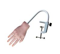 Generic Mano Finta per Unghie Manichino da Addestramento Modello Mano Pratica con Unghie Preformate Silicone Realistico Braccio con Supporto per Fissaggio, Mano Destra