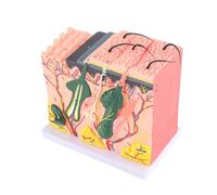 Generic Modello Anatomico della Pelle Umana Ingrandito 50X Modello 3D dello Strato Cutaneo Ingrandito della Pelle con 25 Etichette per Laboratorio Didattico di Biologia Ed