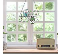 Generic Ornamento Multicolore del Pannello del Gufo Appeso Manifesto di Arte della Parete per gli Amanti degli Uccelli Idea Materiale Lega Acrilica Dimensioni 18 * 14 Cm (E)