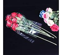 Generic Palloncini Bobo Trasparenti, Palloncini Bobo in PVC Ecologico Addensato da 10 Pezzi Trasparenti per il Compleanno