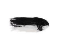 Generic Parrucca Lunga Diritta Donna Bianca Nera per Feste di Halloween Cosplay, Aspetto Naturale, Capelli Sintetici Ad Alta Temperatura, Fascia Elastica Regolabile, Fodera Interna in Rete