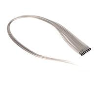 Generic Parrucchino Dritto Estensioni per Capelli Dai Colori Brillanti Clamp/Holder per Parrucchino per Uso Quotidiano e Cosplay Capelli Sintetici Ad Alta Temperatura 21,7 Pollici per Donna (cenere