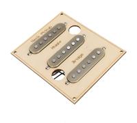 Generic Parte della Collezione di Chitarra, Collezione di Chitarra Elettrica in Stile retrò per Pratiche di Performance per gli Appassionati per l'apprendimento dei Giocatori
