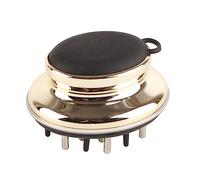 Generic Pettine per Massaggiatore del Cuoio Capelluto Piccolo Ed Elegante Applicatore per il Trattamento del Cuoio Capelluto con Finestra in Scala Prospettica Materiale ABS 1 Pezzo (GOLD)