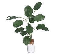 Generic Pianta in Miniatura, Simulazione in Scala 1:12, Decorazione Domestica, Casa delle Bambole Vivace, Bonsai, Bottiglia di Vetro Bianco per Bambini (L120x60x0,3 cm/47,2x23,6x0,1 pollici)