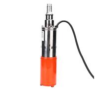 Generic Pompa a Vite da 1'' 12 V CC, Durevole e Resistente Alla Corrosione, Pompa Dell'acqua Ad Alta Portanza per Vasche per Pesci e Uso Agricolo, Realizzata in Acciaio Inossidabile e Fuso