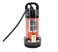 Generic Pompa da pozzo profondo da 300 W, pompa sommergibile da 21,9 m, con cavo da 7 m, motore in rame in acciaio inossidabile, ideale per bestiame, barche, case, ecc. (DC24V)