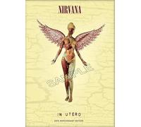 Generic Poster vintage dei Nirvana, Rock Band Grunge, Punk Rock, immagine artistica da parete, formato A4