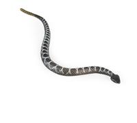 Generic Realistico Serpente a Sonagli in Gomma Giocattolo Antistress per Bambini e Adulti, Supporto per Allenamento per la Coordinazione delle per attività Divertenti Al Chiuso per Giardino, (BLUE)