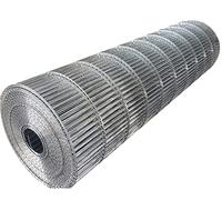 Generic - Rete Elettrosaldata Foro 1,5x10cm Rete Metallica per Polli Zincato Rete da Giardino in Acciaio Tessuto Hardware per Animale Pollaio Coniglio (Color : Silver, Size : 0.3x3m)