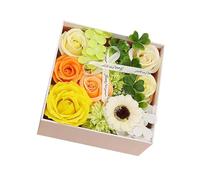 Generic Scatola di di Sapone, Regali per La Festa Della Mamma, Petali di di Sapone Da Bagno, Donne, Ragazze, Mamma, Amante, Verde