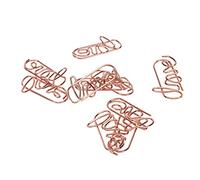 Generic Set di Graffette in Oro Rosa, Forme Uniche di Cuore e Amore, Leggere e Portatili per Uso Domestico e in Ufficio, 100 Clip in Metallo con Scatola Portaoggetti (LOVE)