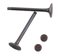 Generic Set di valvole di ricambio per motore per moto, valvole di aspirazione e scarico, guarnizioni dello stelo della valvola per motori 70CC-110Cc, struttura in acciaio inossidabile